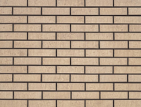 Кирпич керамический 1НФ PROTEY